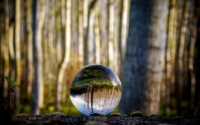 La Arquitectura del Adiós: Soltar el Ideal para Construir tu Libertad